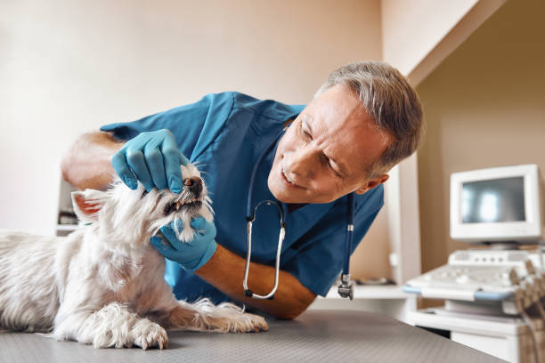 Best Emergency Tooth Extraction in Susanville, CA